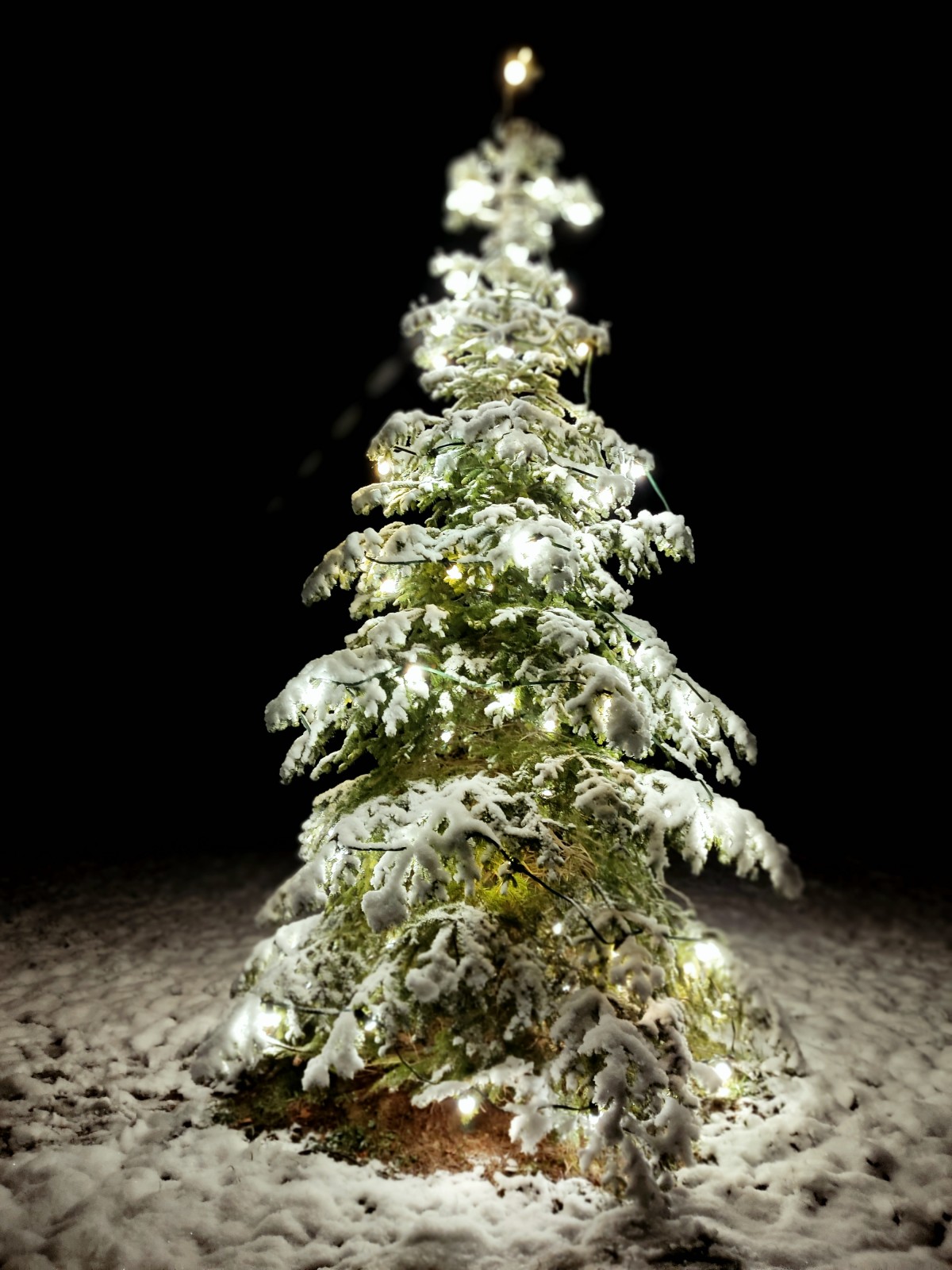 Weihnachtliche Stimmung draußen Weihnachtliche Stimmung draußen